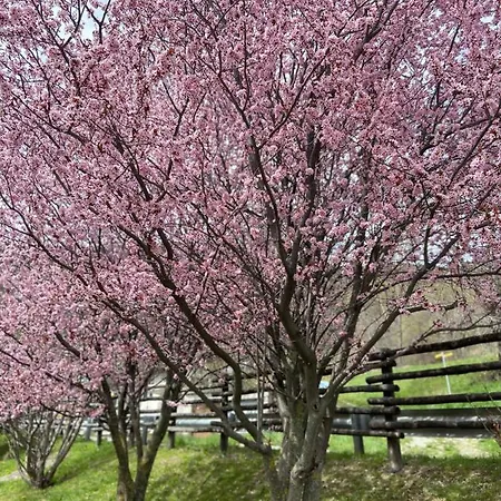 Le Relais De La Grandze Pensión Doues